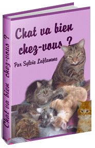 Le chat n'a pas l'habitude de vivre en groupe, ce n'est pas dans sa nature. Mais s'il a son petit coin &agrave; lui, il acceptera facilement la compagnie d'autres chats. Plusieurs personnes vivent avec plus de 4 chats &agrave; la maison sans rencontrer de probl&egrave;mes particuliers. Pour en savoir beaucoup plus, procurez-vous &laquo; Chat va bien chez vous ? &raquo; &eacute;crit par Sylvie Laflamme, qui vit constamment entour&eacute;e de plusieurs chats. Elle les conna&icirc;t mieux que la majorit&eacute; d'entre nous et son guide pratique vous aidera certainement. 