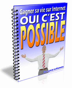 Les cours sont rares et les sp�cialistes le sont tout autant. Quelques bons ouvrages ont �t� publi�s en fran�ais pour comprendre le m�canisme de l�entreprise virtuelle. Le probl�me qui bloque la plupart de ceux qui sont pleins de bonnes intentions est la peur de l�inconnu.  Alors ceux qui comprennent l�anglais parviennent � tirer leur �pingle du jeu mais les autres� 